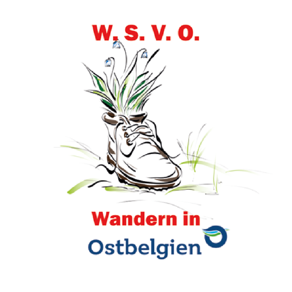 WSVO Logo
